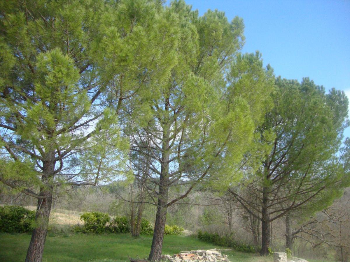 فيلا La Croix Du Sud - Ocres En Provence أبْتْ المظهر الخارجي الصورة